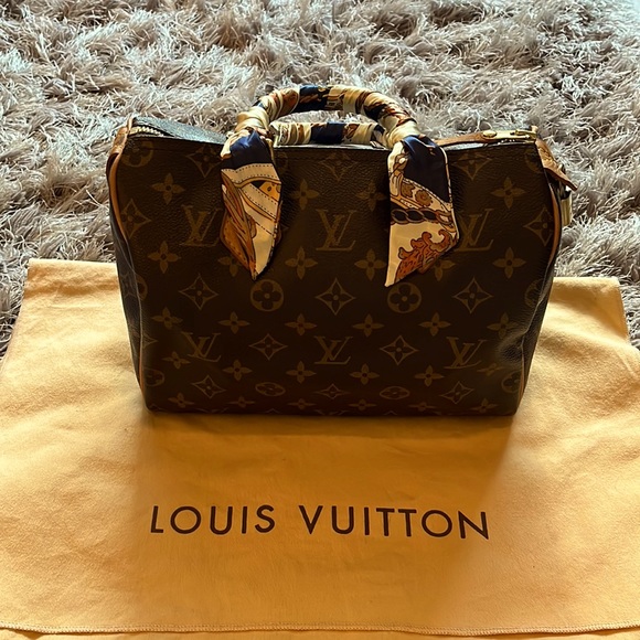 Louis Vuitton Handbags - Louis Vuitton Speedy